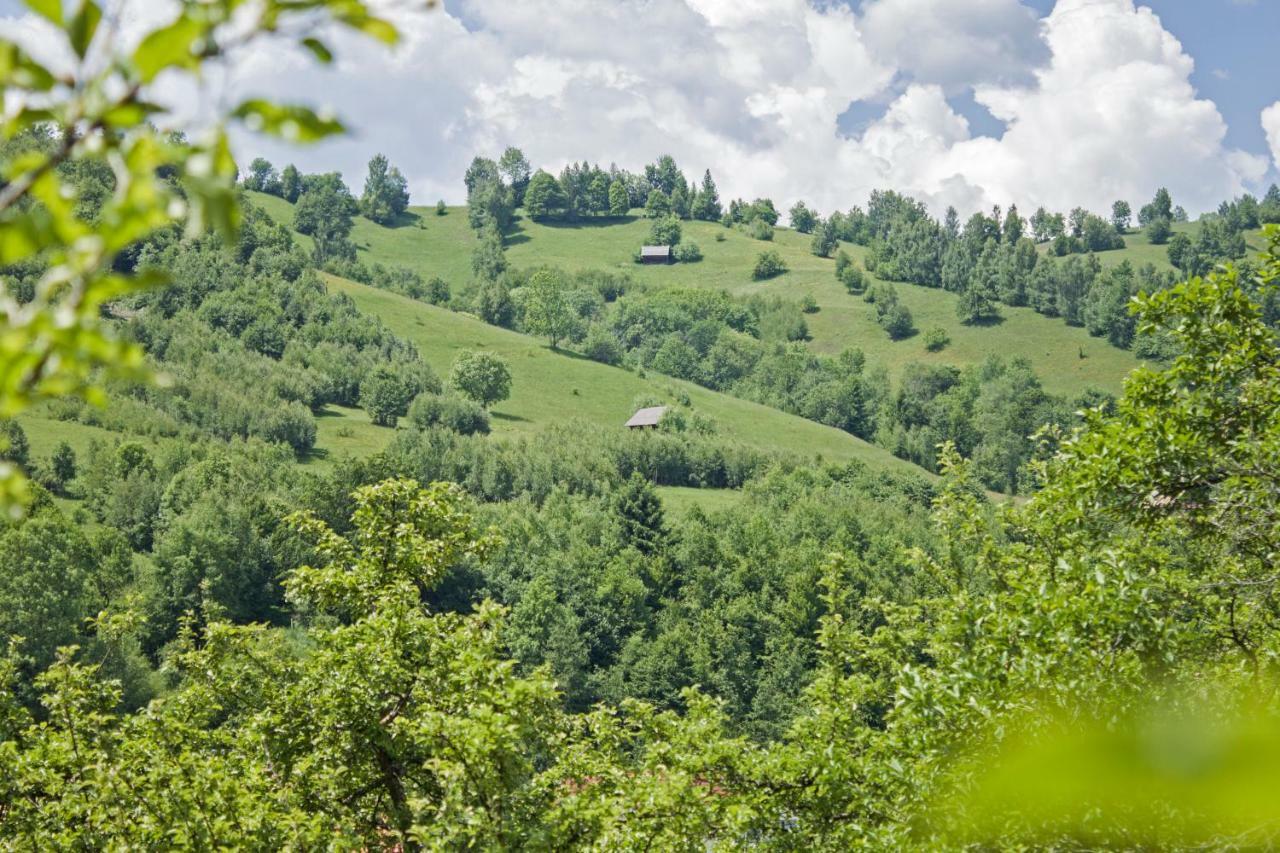 I Love Bran House Șimon Dış mekan fotoğraf