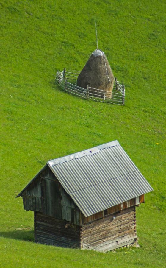 I Love Bran House Șimon Dış mekan fotoğraf